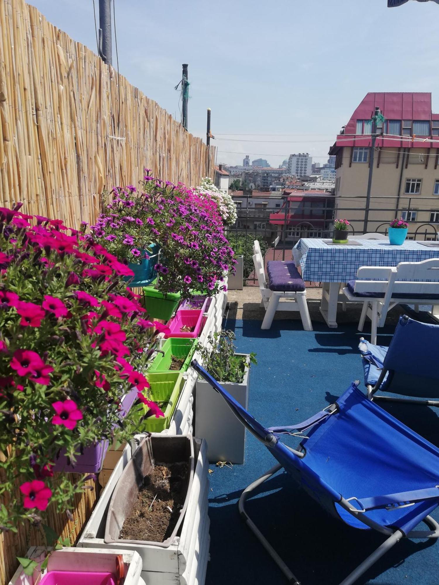 Hostel Inn Downtown Βελιγράδι Εξωτερικό φωτογραφία